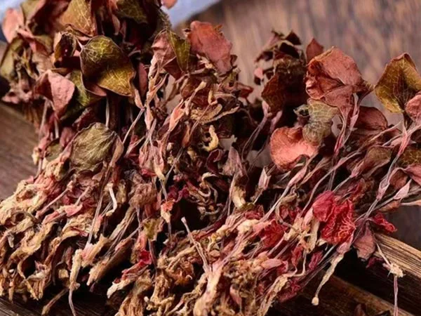 Anoectochilus Roxburghii séché de qualité supérieure arrive sur les marchés spécialisés
