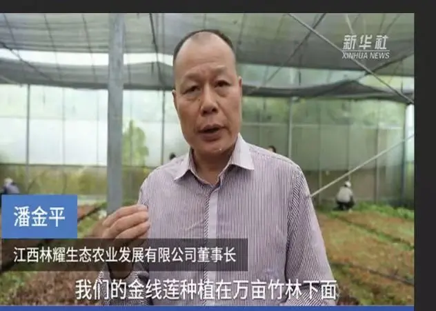 Pan Jinping, président de Jiangxi Linyao Ecological Agriculture Development Co., Ltd., interviewé par l'agence de presse Xinhua