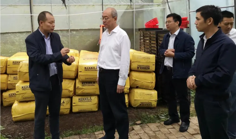 Xie Guanghua, secrétaire du Parti et directeur de l'administration provinciale de médecine traditionnelle chinoise du Jiangxi, mène des recherches à la base de plantation d'Anoectochilus