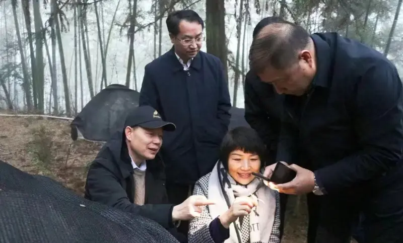 Lu Xiaoqing, ancien président de Jiangzhong Pharmaceutical et actuel membre du comité permanent du comité provincial du Parti du Jiangxi et directeur du département de publicité, inspecte notre base de plantation